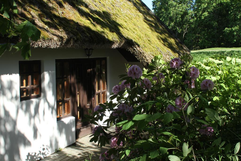Denderi Villa Rubene Room photo